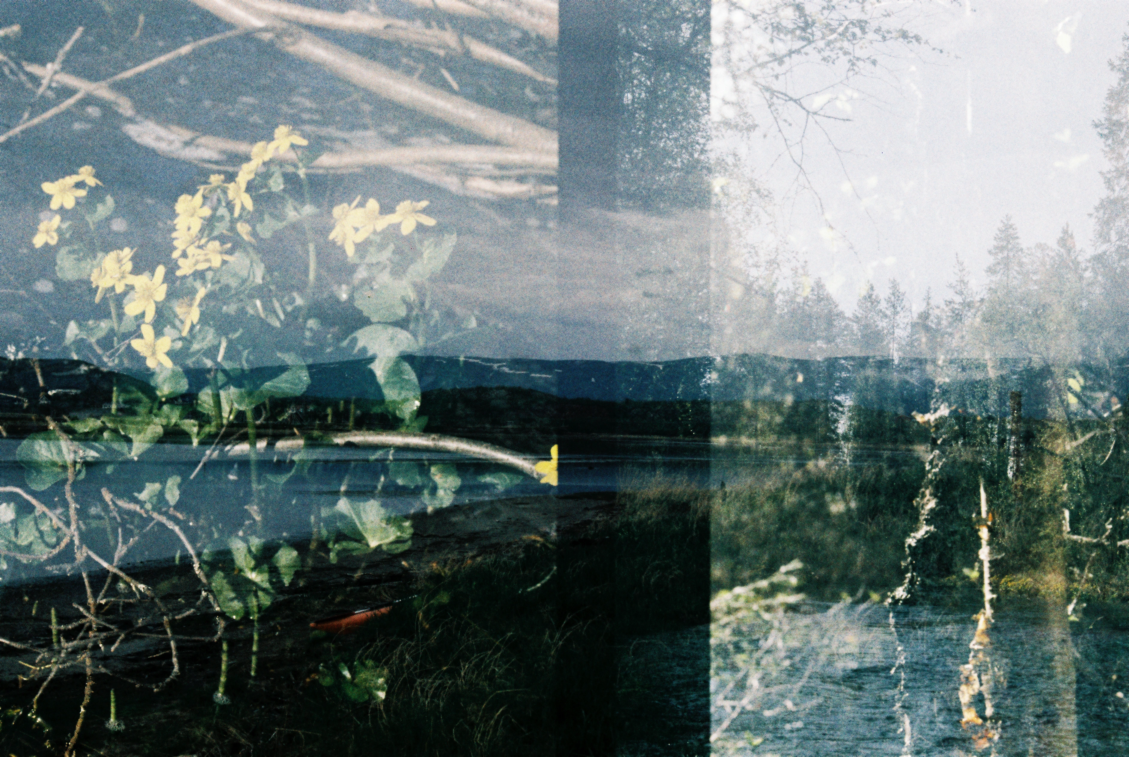 arctic circle project image4